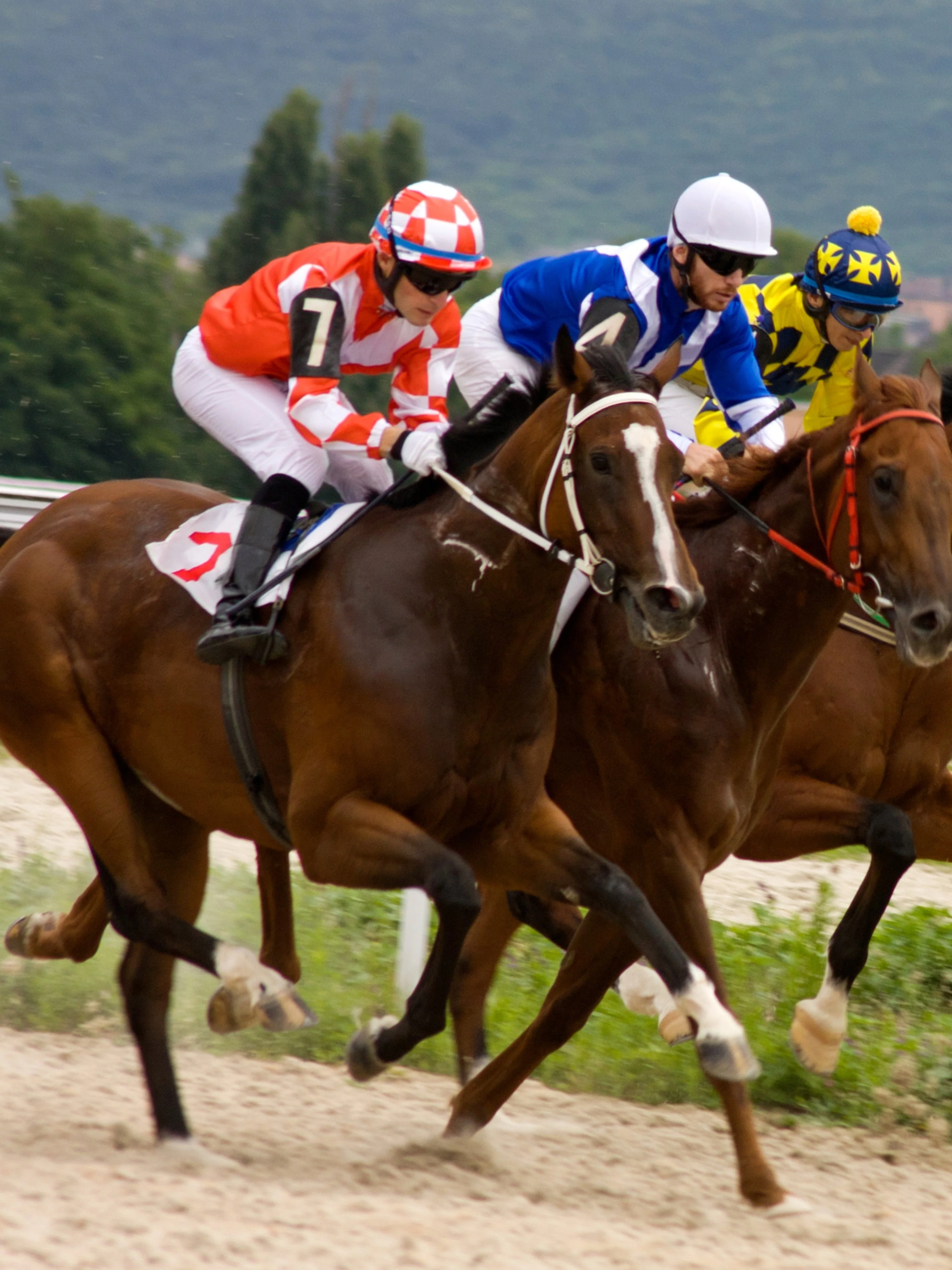 Horse Racing